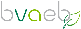 BVAEB